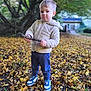 child, boy, autumn, leaves, stick, outdoor, nature, tree, forest, shoes, pants, jacket, hoodie, standing, casual, seasonal, playful, young, person, daylight