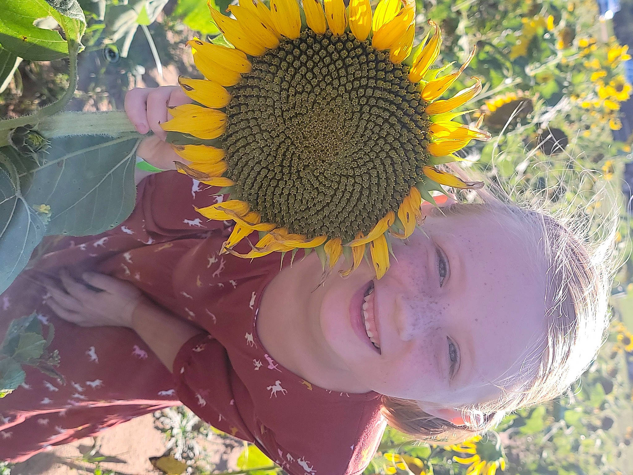 Maddalynn is registered to the contest to win money with this photo: adaptation, annual_plant, art, botany, flower, flowering_plant, fun, happy, joy, leisure, organism, pattern, people_in_nature, person, petal, plant, pollen, smile, spring, sunflower