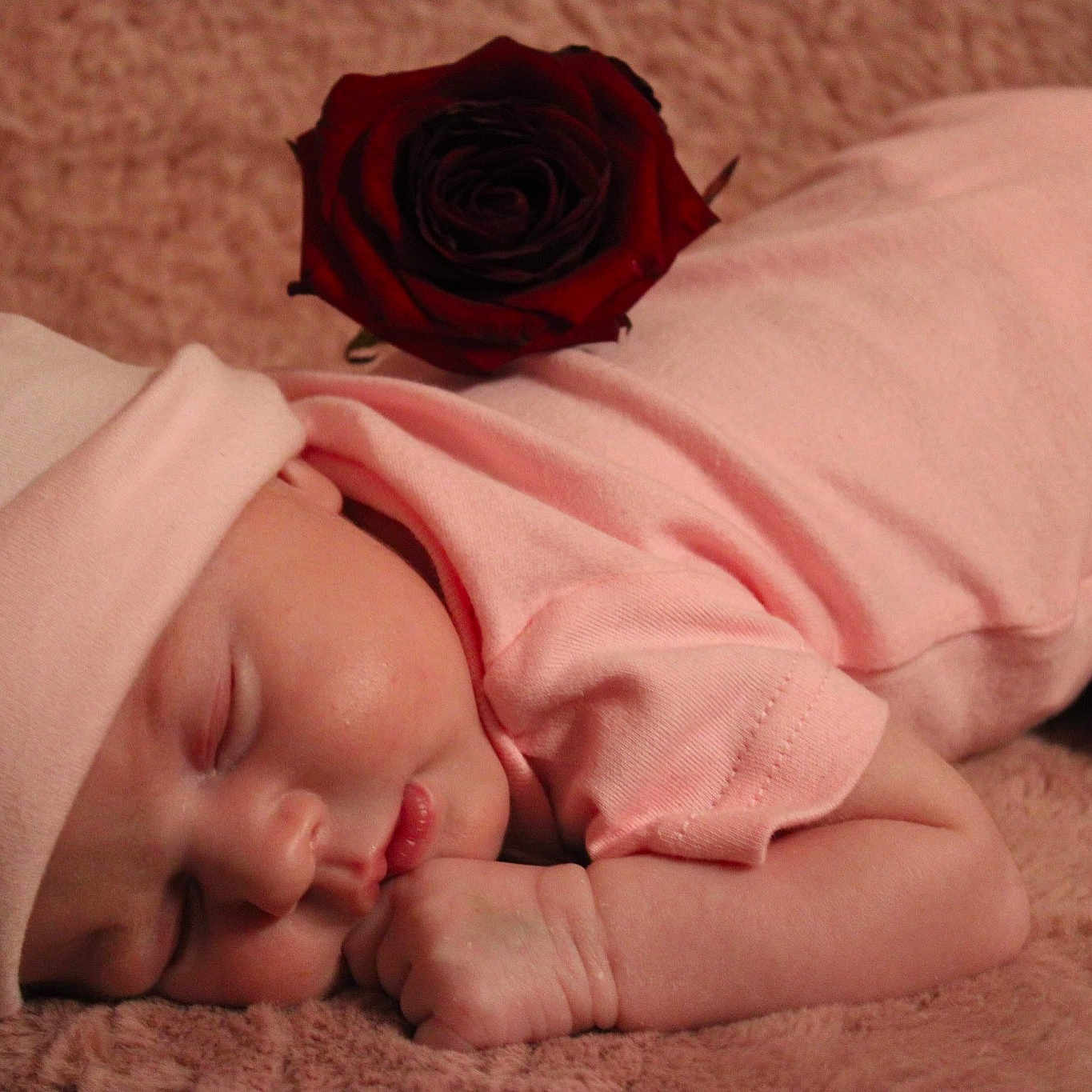 Liyana participe au concours pour gagner de l'argent avec cette photo : arm, baby, baby_sleeping, baby_toddler_clothing, comfort, dress, eye, finger, flower, hand, happy, headgear, human_body, linens, lip, nose, pink, red, skin, toddler