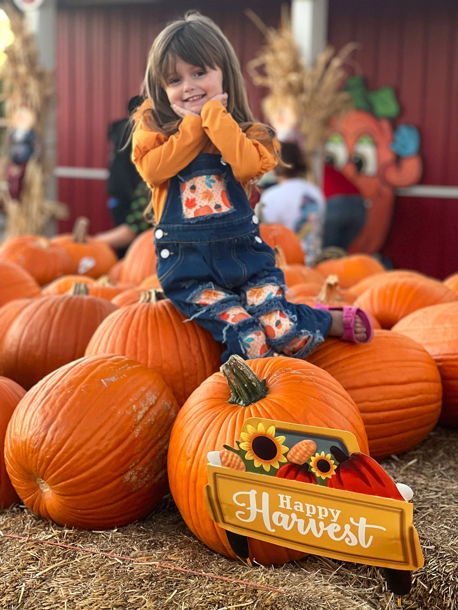Jordan is registered to the contest to win money with this photo: calabaza, carving, cucurbita, eye, fruit, gourd, grass, head, human_body, joy, local_food, natural_foods, orange, person, plant, pumpkin, squash, tradition, vegetable, vertebrate
