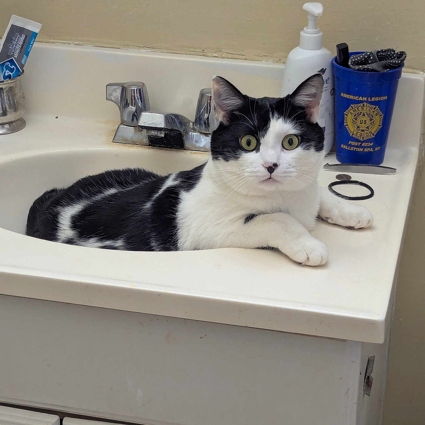 Loki is registered to the contest to win money with this photo: animal, bathroom, black_and_white, cat, countertop, cup, curious, domestic_cat, faucet, feline, fur, household, indoor, pet, relaxed, resting, sink, toiletries, whiskers, wide_eyes
