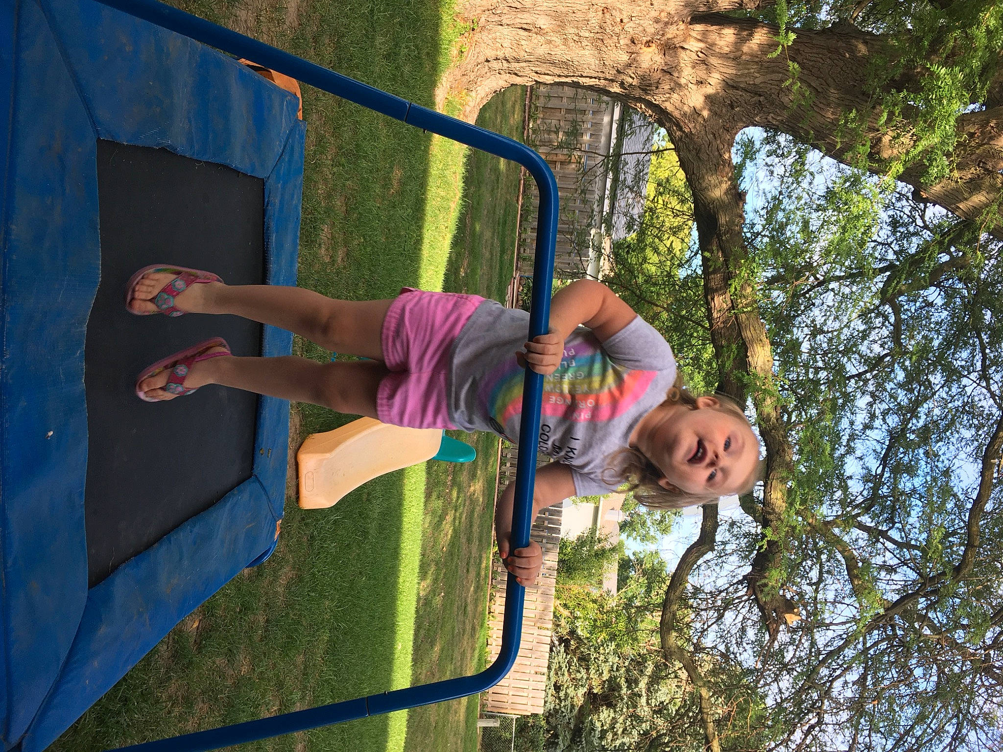 Sofina joined the competition — help win amazing prizes! child, fun, leisure, person, plant, play, playground, tree