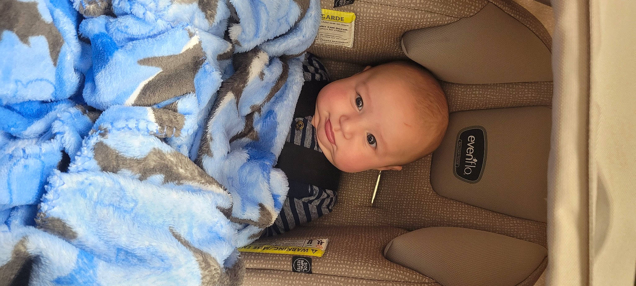 Victor joined the competition — help win amazing prizes! auto_part, baby, baby_carriage, baby_products, baby_toddler_clothing, car_seat, cheek, child, comfort, fur, linens, nap, pattern, person, room, sitting, skin, sleep, toddler, winter