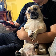 Biggie Smalls joined the competition — help win amazing prizes!