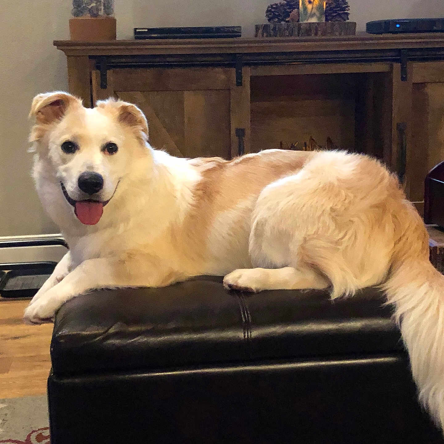 Tucker