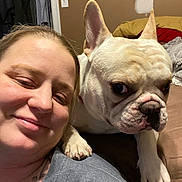 Louie is registered to the contest to win money with this photo: person, dog, french_bulldog, pet, selfie, indoor, bed, blanket, paw, ear, muzzle, closeup, portrait, home_interior, bedding, collar, couch, human_face, smile, nose