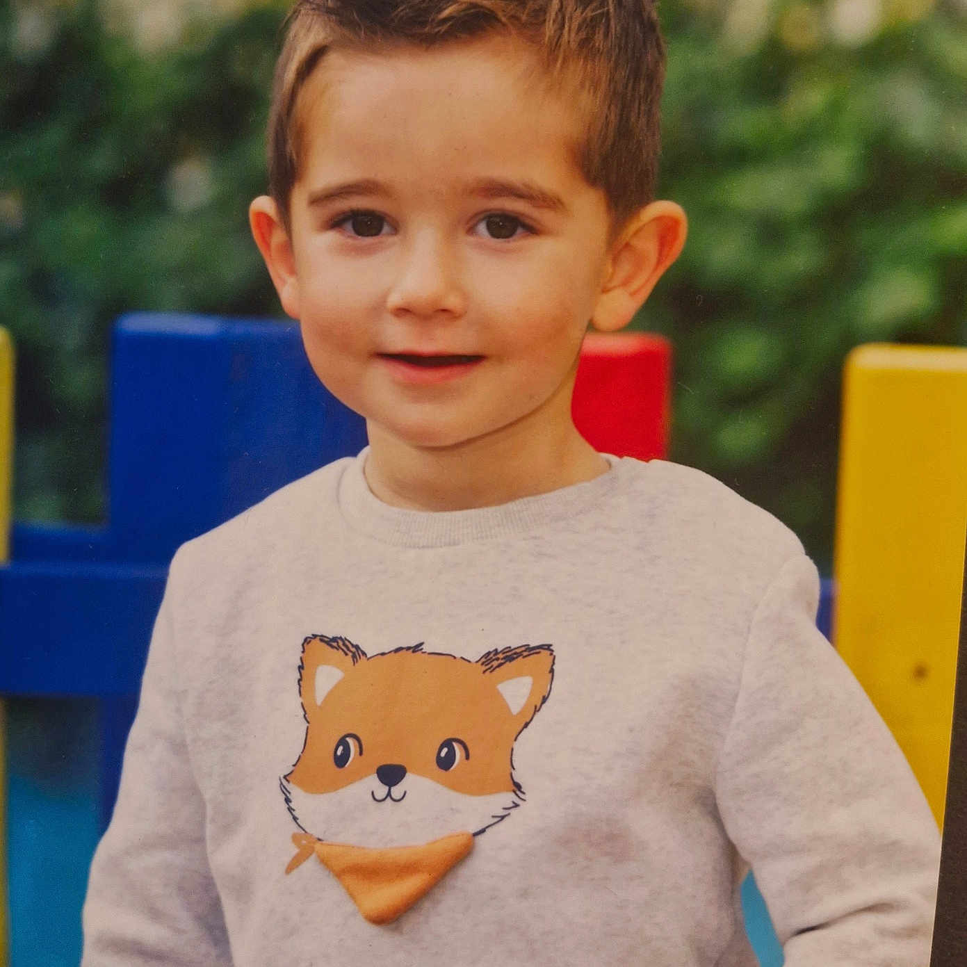 Liam a rejoint le concours — aidez-le/la à gagner de superbes lots ! boy, casual_clothing, child, colorful_fence, cute, daylight, face, fox_design, greenery, happy, nature_background, outdoor, person, playground, portrait, short_hair, smile, standing, sweater, young