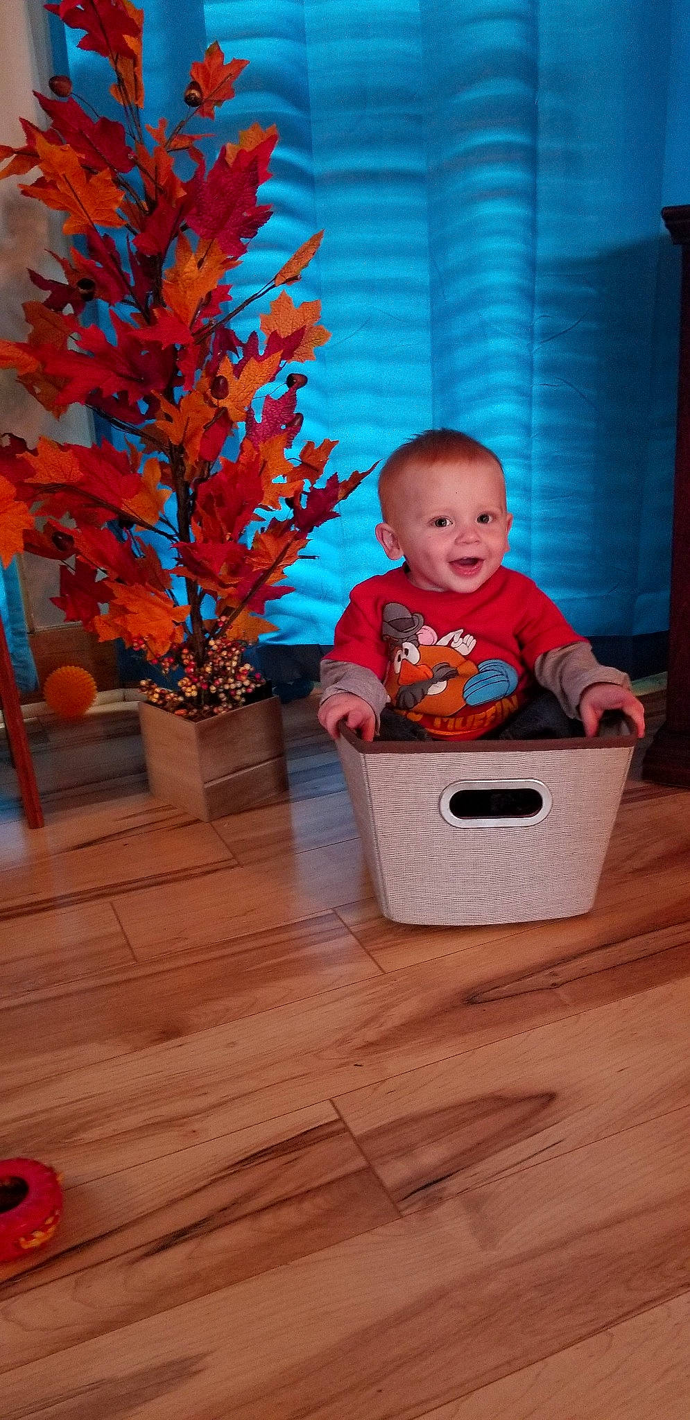 Brandon is registered to the contest to win money with this photo: child, floor, flooring, hardwood, person, play, toddler, wood