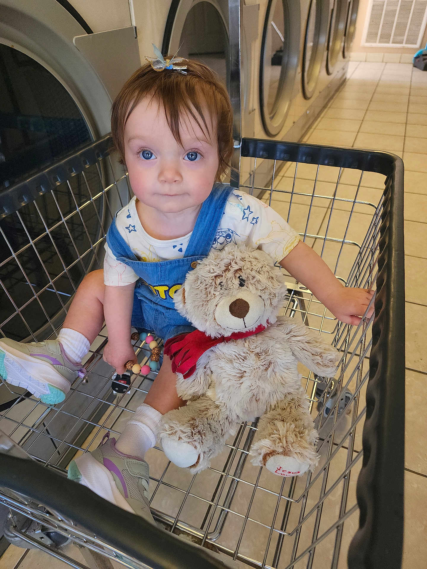 Faith is registered to the contest to win money with this photo: toddler, child, shopping_cart, laundromat, teddy_bear, toy, blue_eyes, hair_clip, denim_overalls, sneakers, white_socks, floor_tiles, washing_machines, metal_cart, indoor, cute, playful, portrait, seated, looking_up