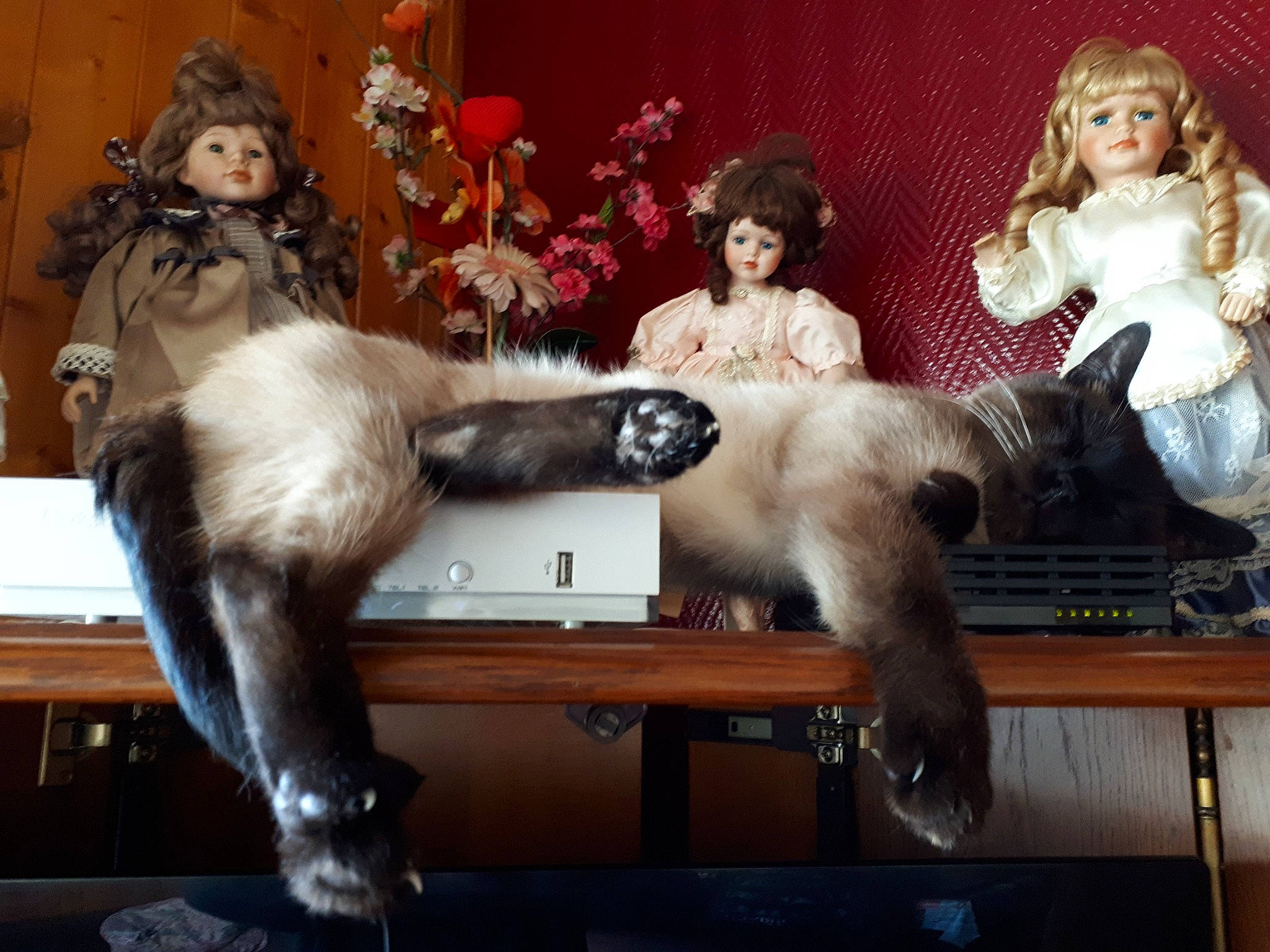 Léonidas a rejoint le concours — aidez-le/la à gagner de superbes lots ! art, carnivore, cat, companion_dog, desk, doll, event, fawn, felidae, fur, fur_clothing, furniture, lap, sitting, small_to_medium_sized_cats, snapshot, table, tail, toy, whiskers