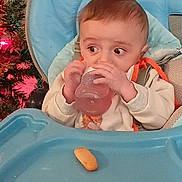 Eden participe au concours pour gagner de l'argent avec cette photo : baby, biscuit, blue_tray, bottle, child, christmas_tree, clothing, cute, face, feeding, furniture, hands, high_chair, holiday, holiday_decor, indoor, infant, person, seat, table