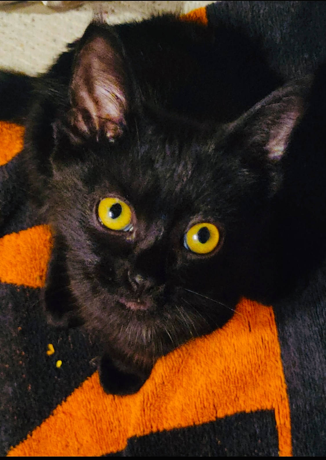 Kiara