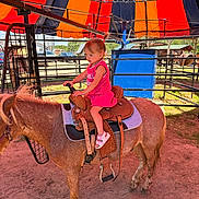 Oaklan is registered to the contest to win money with this photo: child, pony, ride, saddle, pink_clothing, outdoor, fence, canopy, blue_sky, horse, animal, sunny, daytime, sand, footwear, small_horse, person, farm, pet, recreation