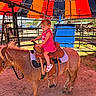 child, pony, ride, saddle, pink_clothing, outdoor, fence, canopy, blue_sky, horse, animal, sunny, daytime, sand, footwear, small_horse, person, farm, pet, recreation