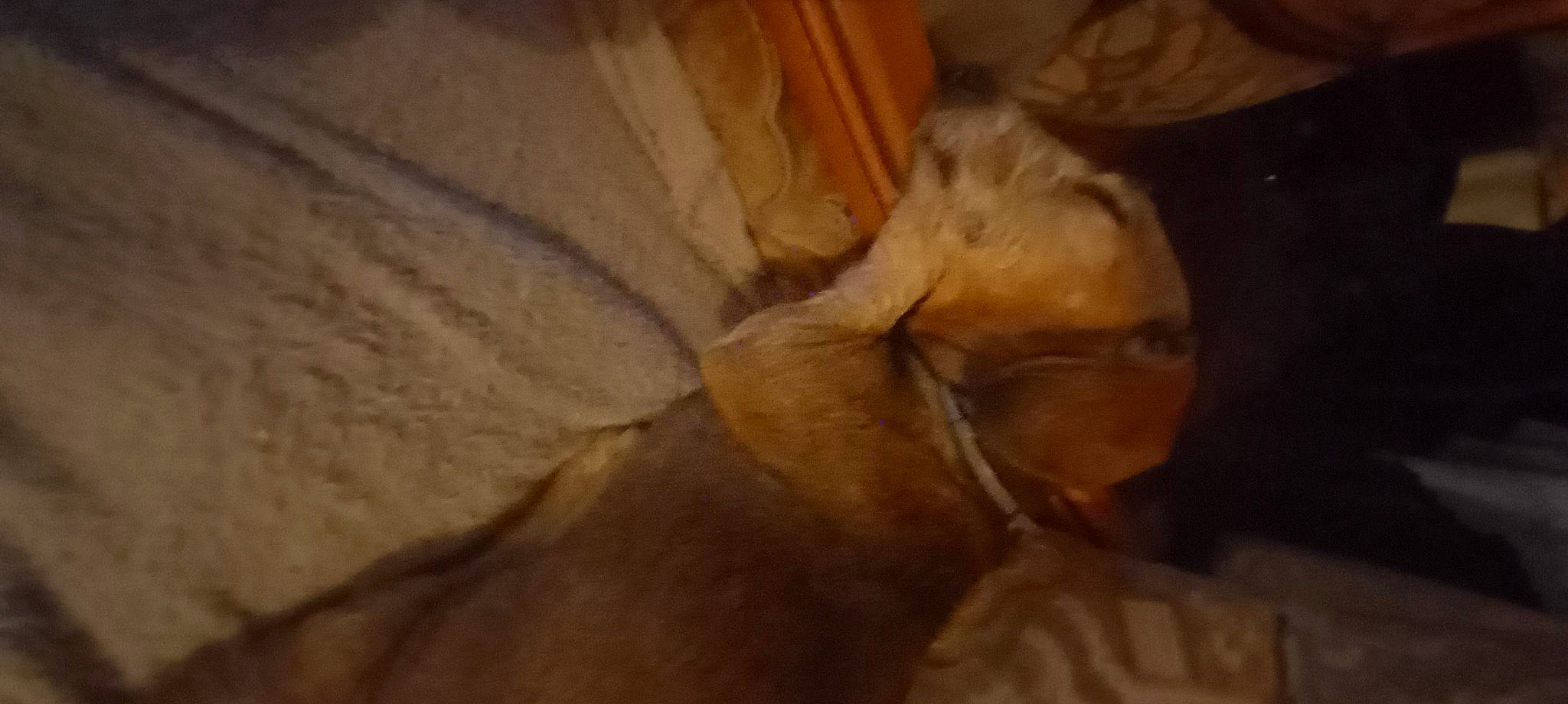 Gofrete participe au concours pour gagner de l'argent avec cette photo : art, artwork, fawn, fur, painting, rock, tints_and_shades, visual_arts, wood