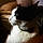 Purry