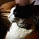 Purry