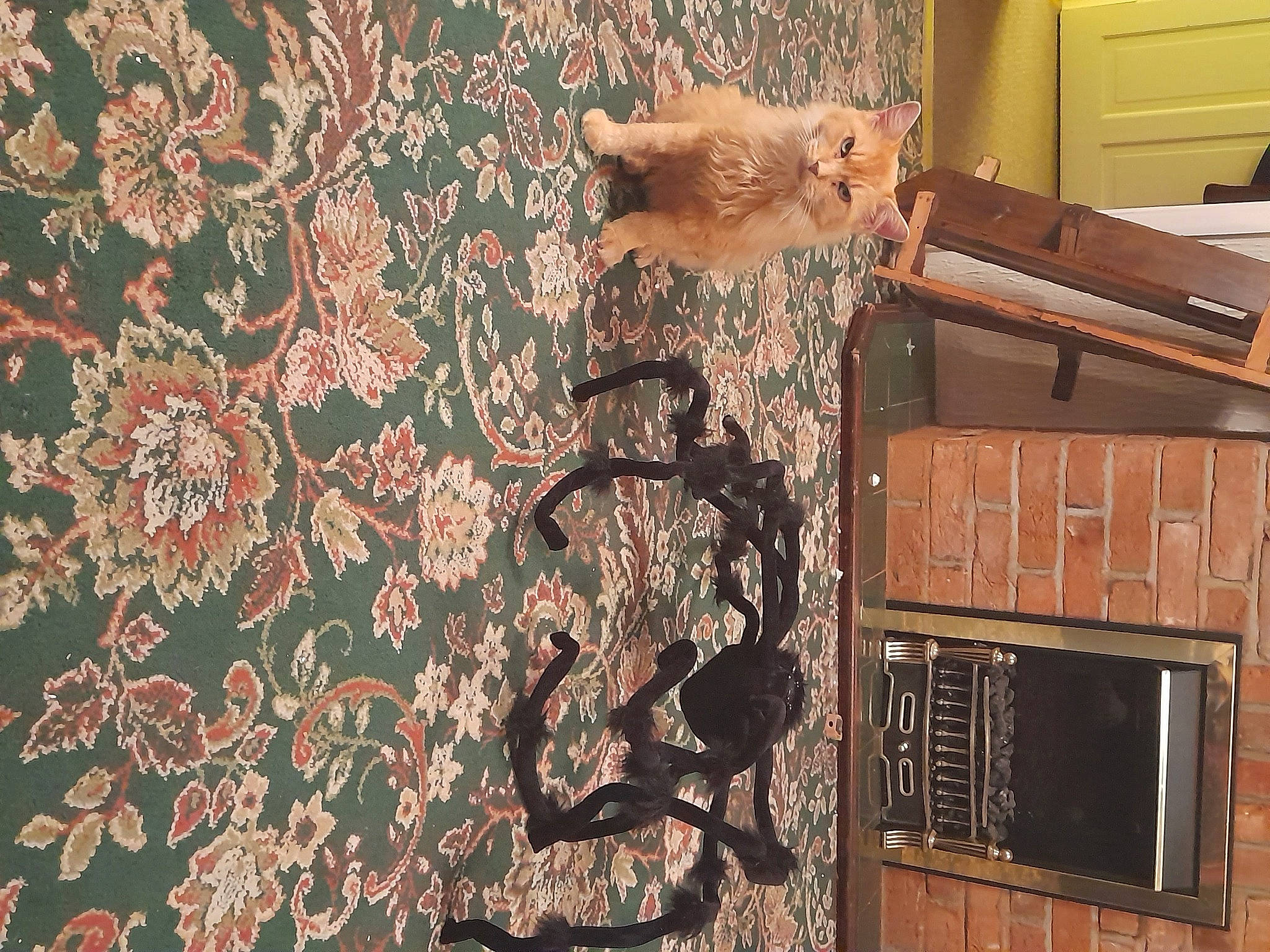 Serena is registered to the contest to win money with this photo: brown, cabinetry, door, door_handle, drawer, flooring, hardwood, home_door, house, metal, military_camouflage, pattern, peach, plant, plywood, room, tree, visual_arts, wood, wood_stain