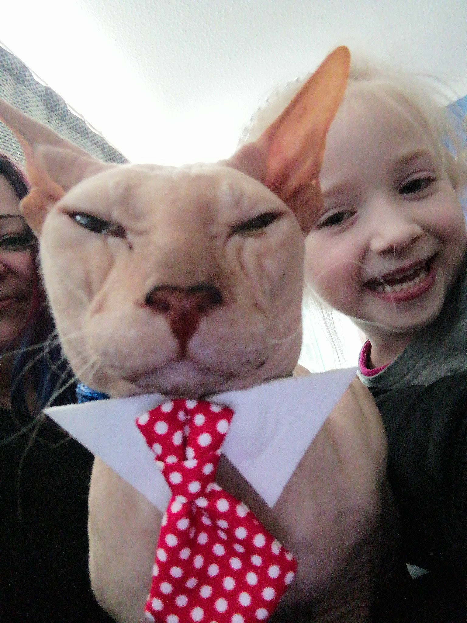 Lord Beerus is registered to the contest to win money with this photo: carnivore, cat, child, event, fawn, felidae, formal_wear, fur, gesture, grass, happy, pattern, pink, plaid, sky, small_to_medium_sized_cats, smile, sunglasses, toddler, whiskers