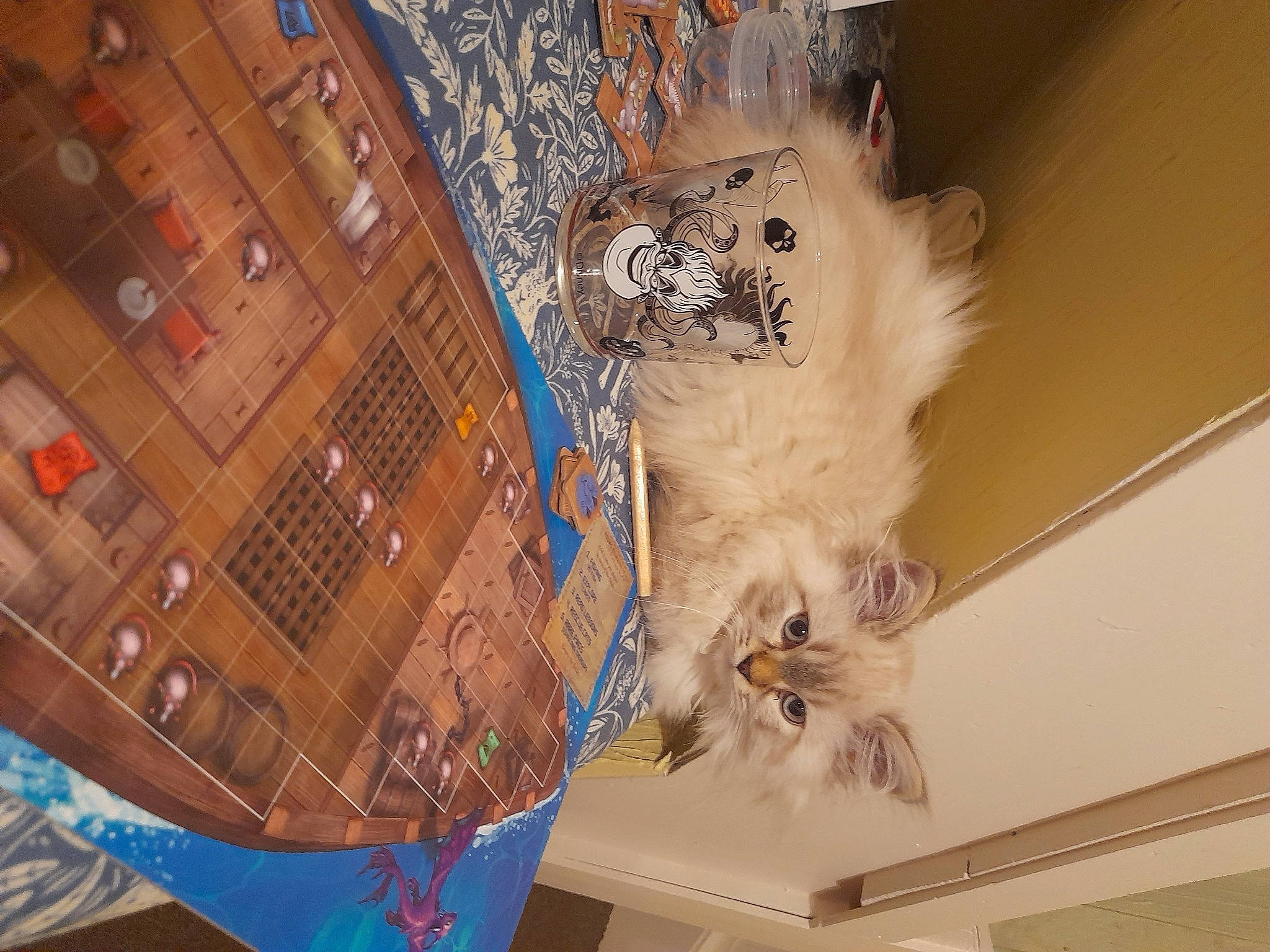 Crowley is registered to the contest to win money with this photo: art, carnivore, cat, ceiling, circle, companion_dog, fawn, felidae, flooring, fur, hardwood, pattern, room, small_to_medium_sized_cats, space, tail, visual_arts, whiskers, wood, world