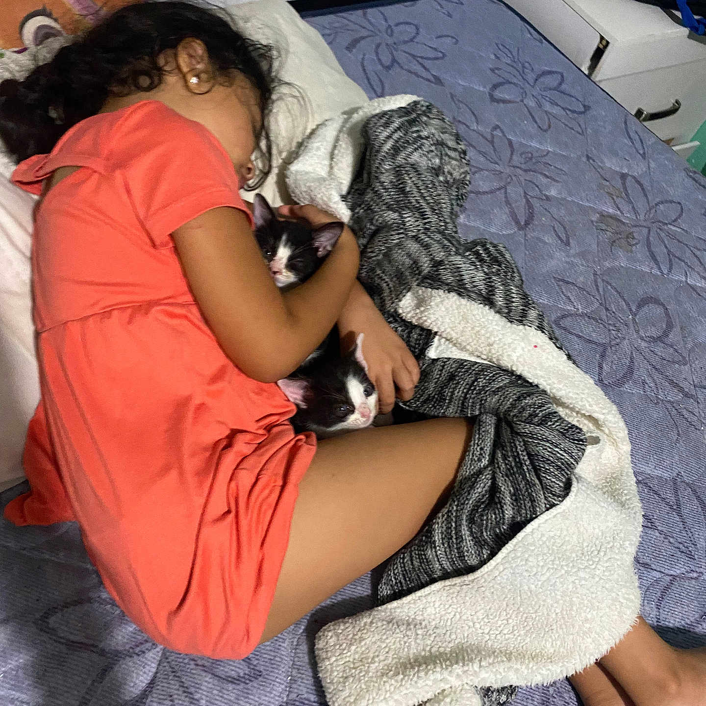 Cookies And Cream is registered to the contest to win money with this photo: animal, bed, blanket, cat, child, comfort, cozy, cuddle, cute, face, floor, fur, hair, indoors, kitten, pet, pink_clothing, relaxation, resting, sleeping