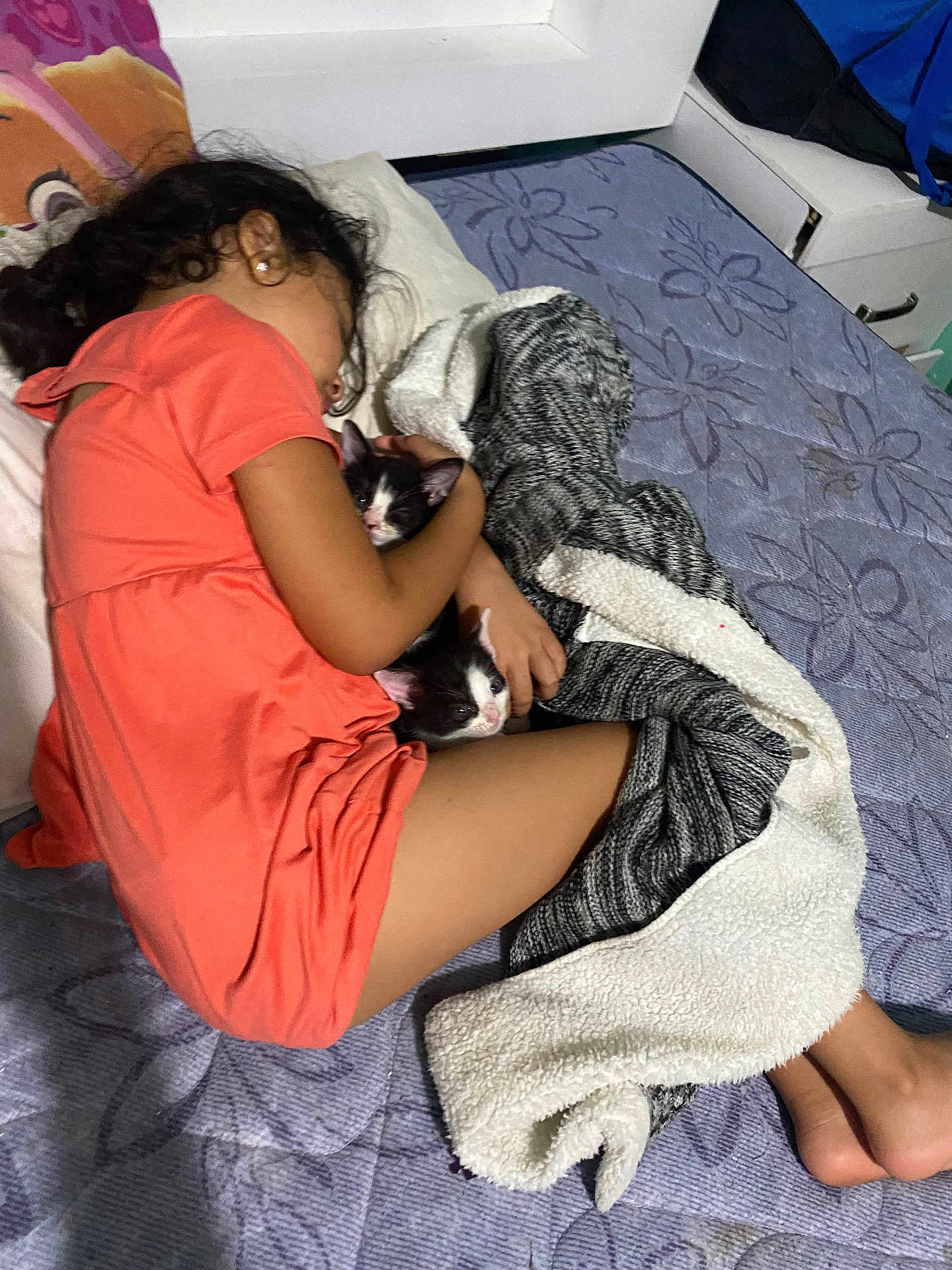 Cookies And Cream is registered to the contest to win money with this photo: child, sleeping, kitten, cat, bed, blanket, cozy, indoors, resting, cute, animal, pet, comfort, fur, face, cuddle, pink_clothing, hair, floor, relaxation