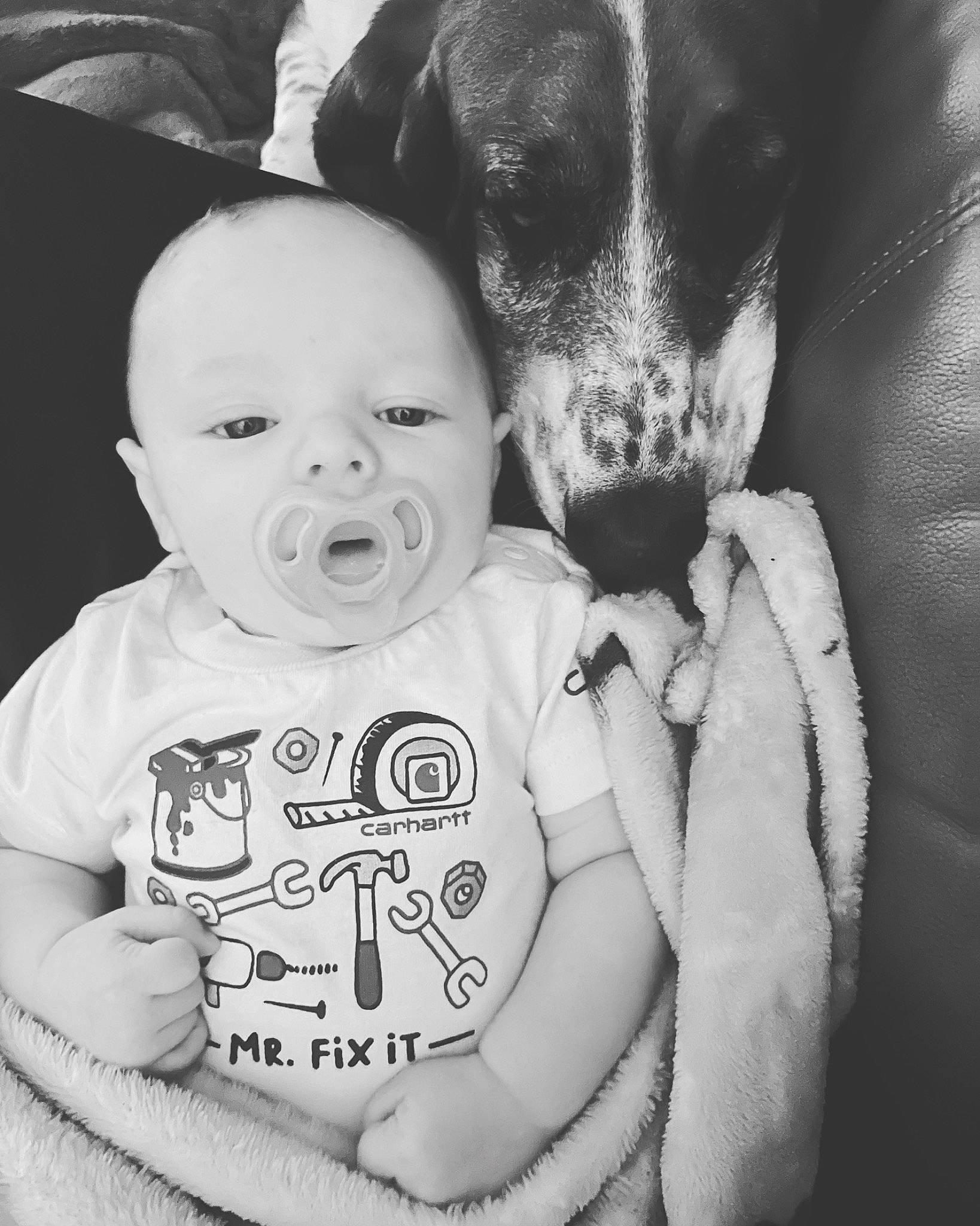 Cass is registered to the contest to win money with this photo: baby, black, black_and_white, carnivore, dog, eye, eyebrow, gesture, happy, head, iris, mammal, nose, organ, person, photograph, skin, sleeve, smile, vertebrate