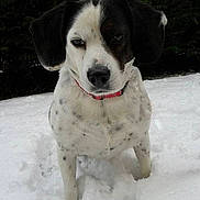 Mercedes participe au concours pour gagner de l'argent avec cette photo :