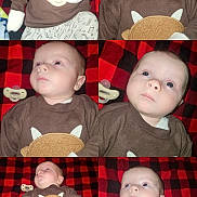 Ares joined the competition — help win amazing prizes! baby, infant, child, portrait, collage, multiple_views, face, blue_eyes, pacifier, brown_outfit, animal_costume, horns, blanket, red_blanket, checkered_pattern, lying_down, indoor, close_up, cute, expression