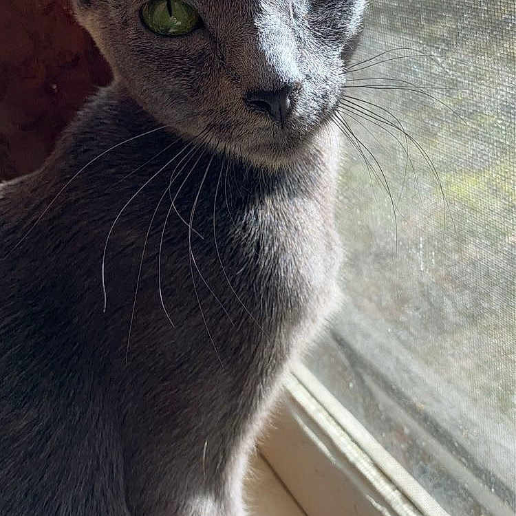 Mama