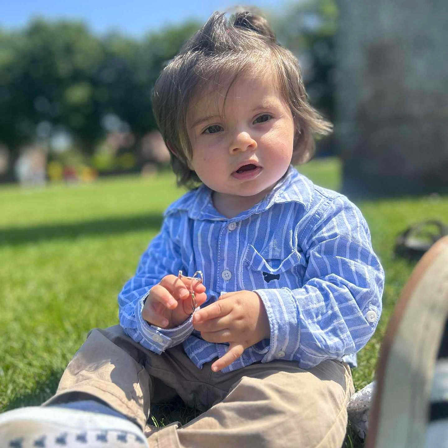 Zelko participe au concours pour gagner de l'argent avec cette photo : beige_pants, blue_shirt, casual, child, curious, daylight, grass, greenery, holding_object, nature, outdoor, park, portrait, puzzle_expression, shoes, sitting, stone_structure, sunny, toddler, young_child