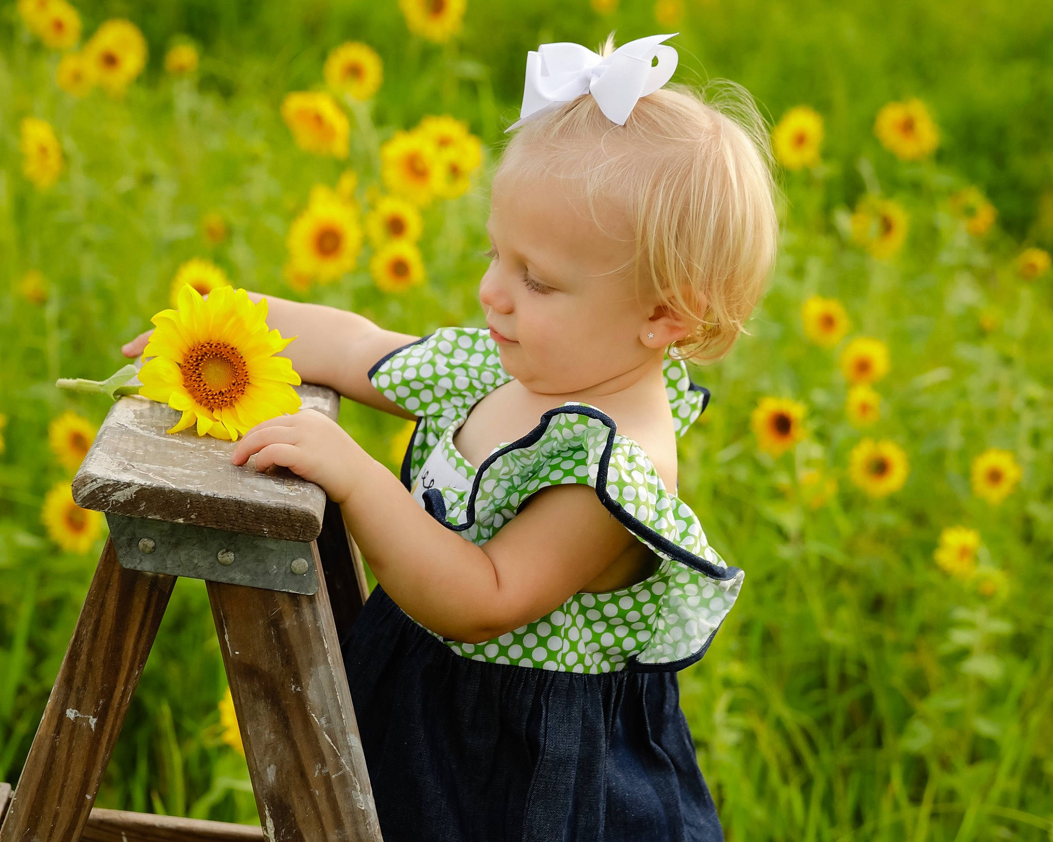 Dalis is registered to the contest to win money with this photo: automotive_wheel_system, botany, child, flower, fun, grass, grass_family, happy, meadow, people_in_nature, person, photography, plant, spring, summer, sunflower, toddler, watering_can, wheel, wildflower