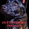 France R.