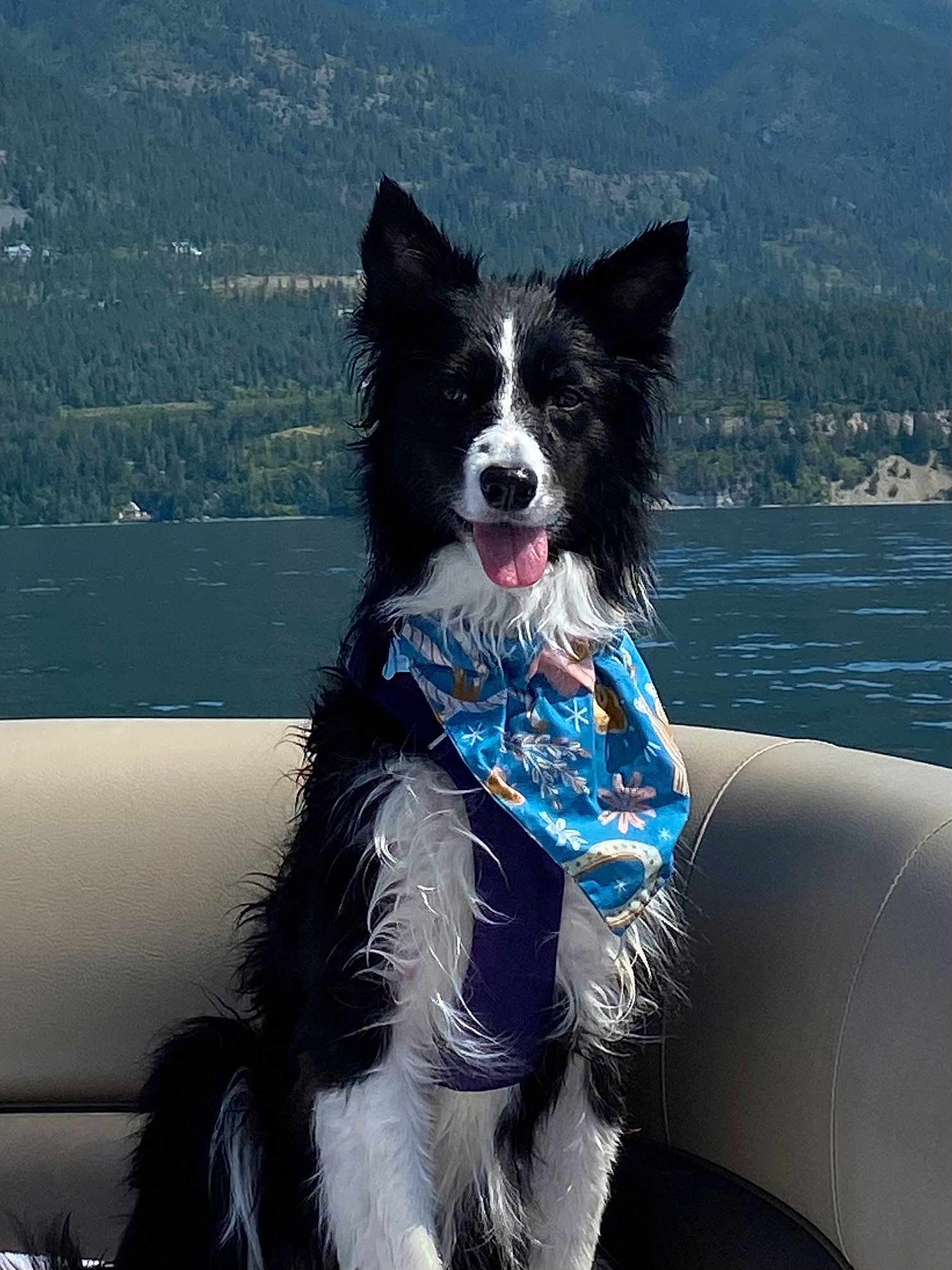Bella
