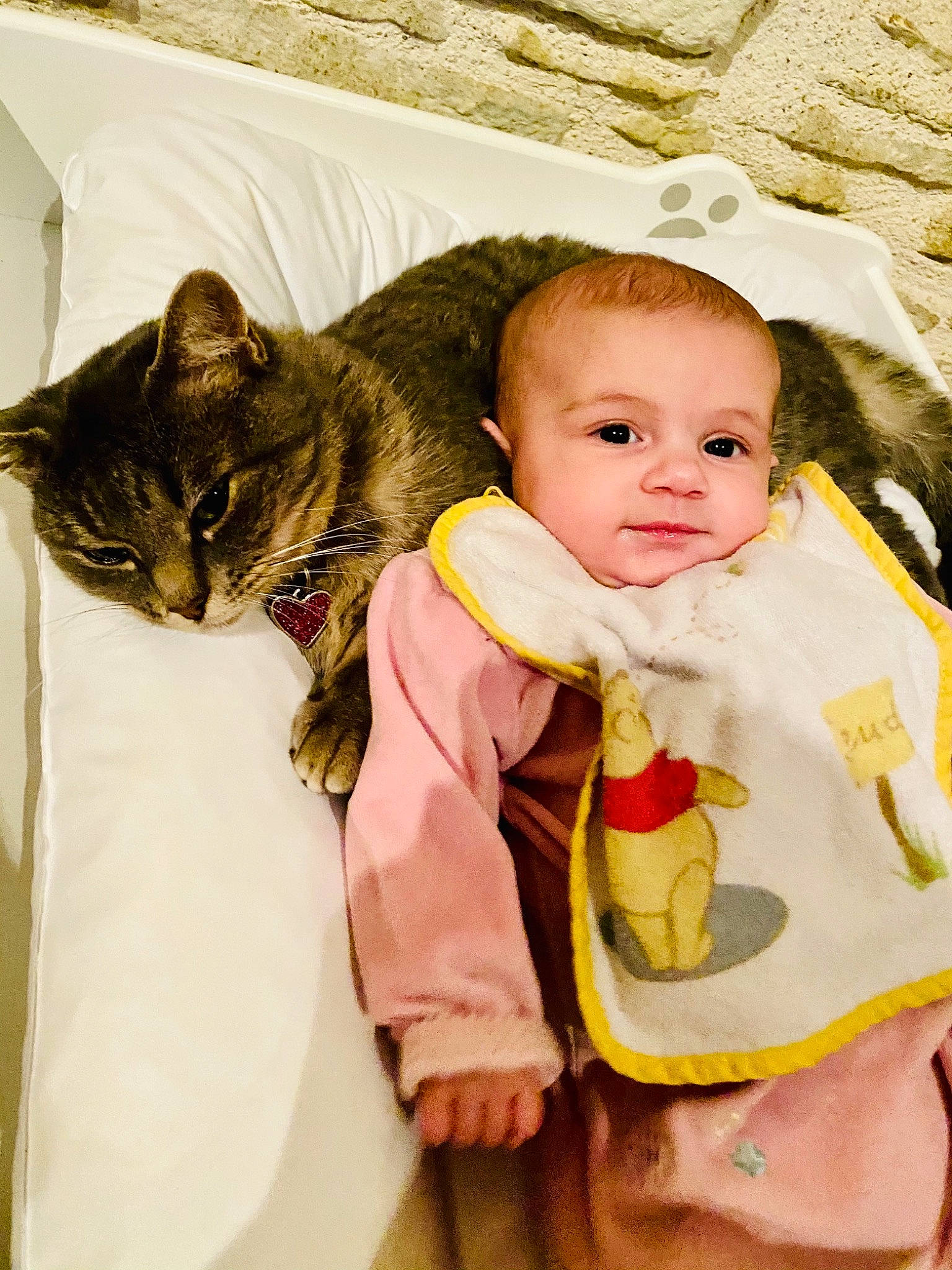 Mélody participe au concours pour gagner de l'argent avec cette photo : baby, carnivore, cat, cheek, child, ear, eye, felidae, fur, head, iris, kitten, nose, organ, person, skin, small_to_medium_sized_cats, tabby_cat, toddler, whiskers