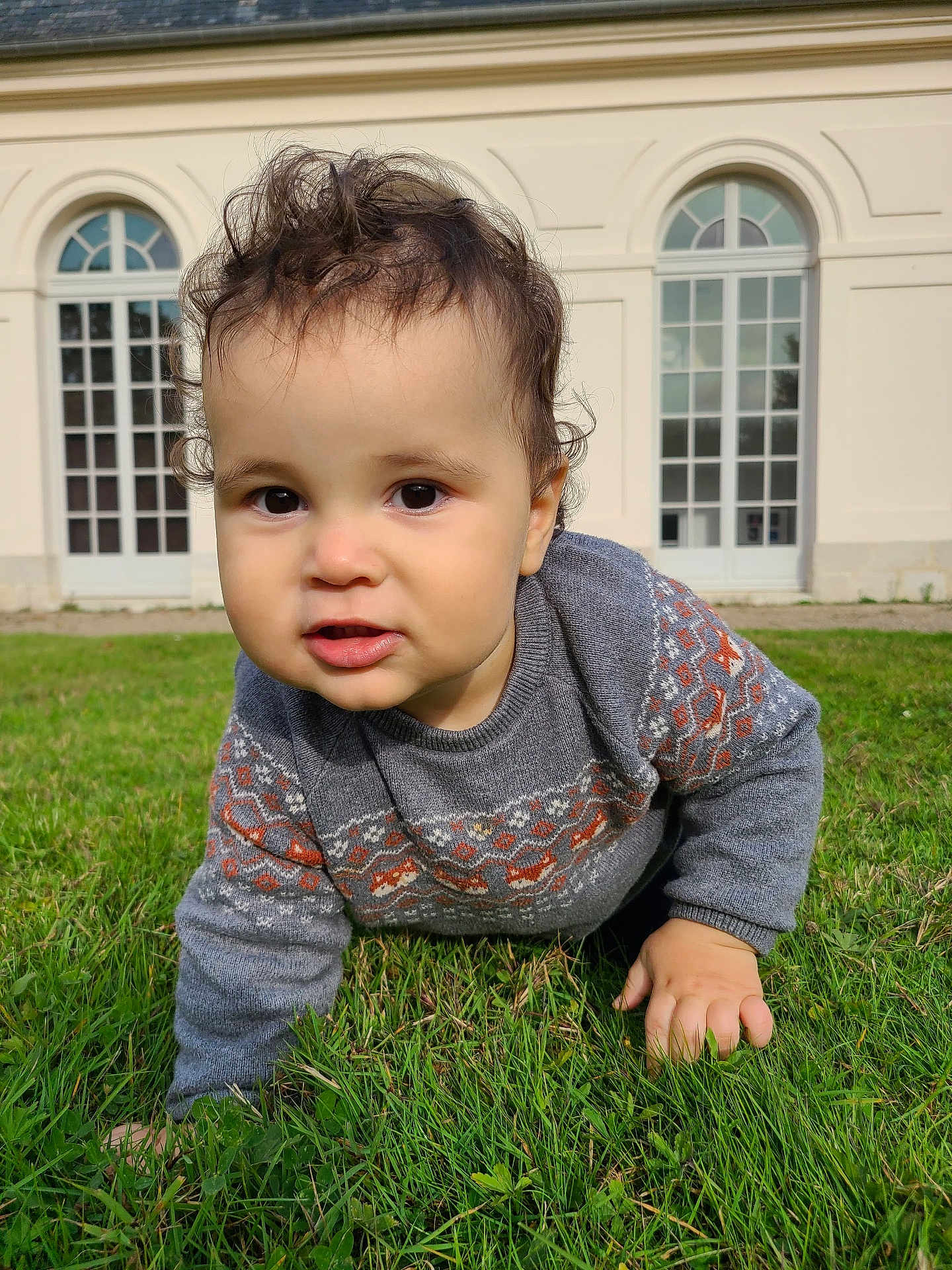 Kaïs participe au concours pour gagner de l'argent avec cette photo : toddler, child, grass, outdoor, crawling, sweater, curly_hair, face, building, windows, greenery, daylight, person, young_child, nature, casual_clothing, exploration, cute, curiosity, architecture