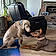 Ares And Gracie