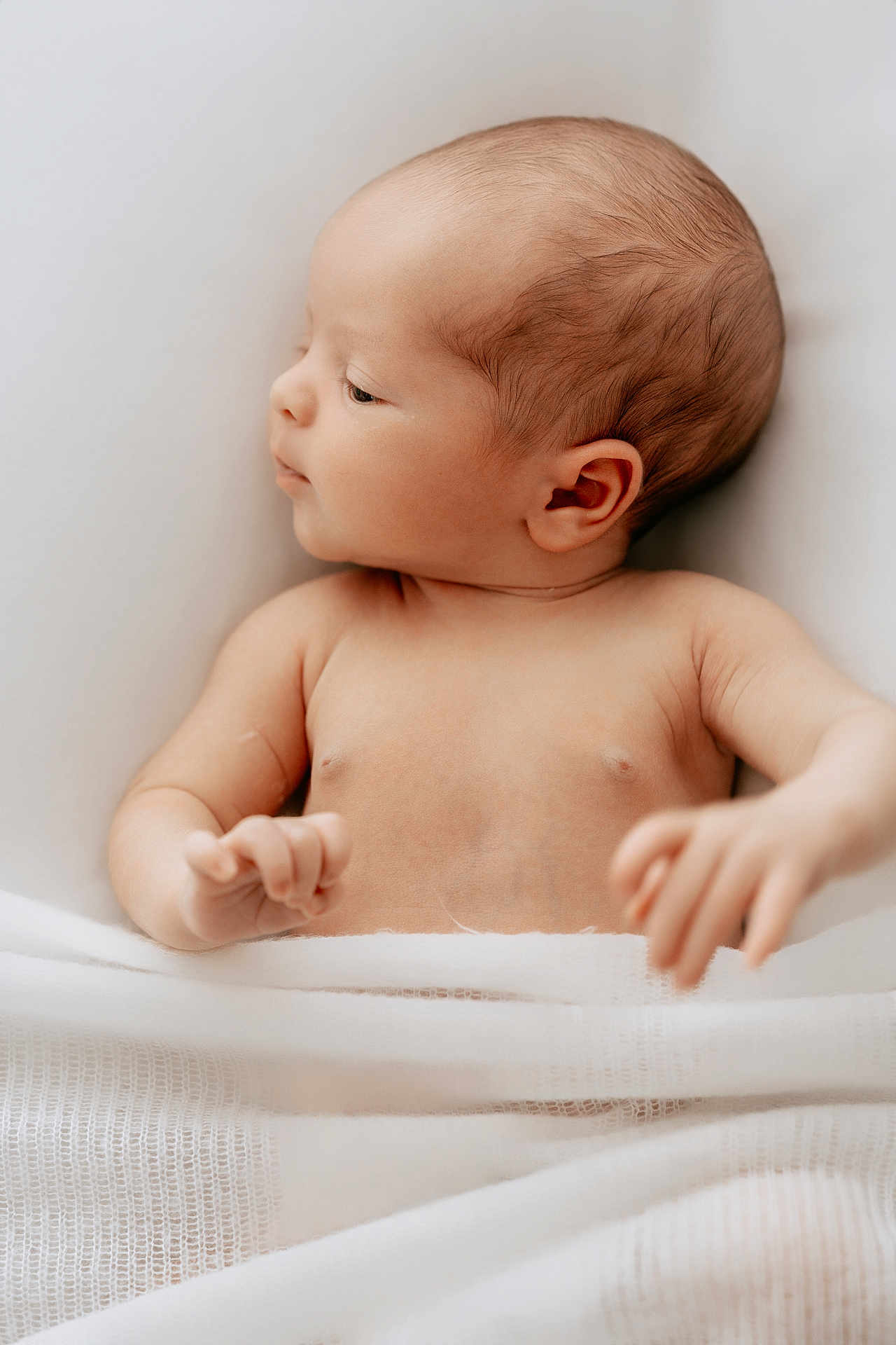 Malo a rejoint le concours — aidez-le/la à gagner de superbes lots ! baby, newborn, infant, child, sleeping, blanket, soft, skin, face, head, ear, arm, hand, portrait, closeup, peaceful, cute, lying, swaddled, gentle
