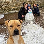 dog, snow, snowman, family, children, woman, wooden_deck, stone_wall, potted_plant, winter_clothing, hooded_jacket, mask, sunglasses, outdoor, portrait, closeup, playful, pet, smile, photobomb