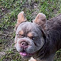 Staci K.