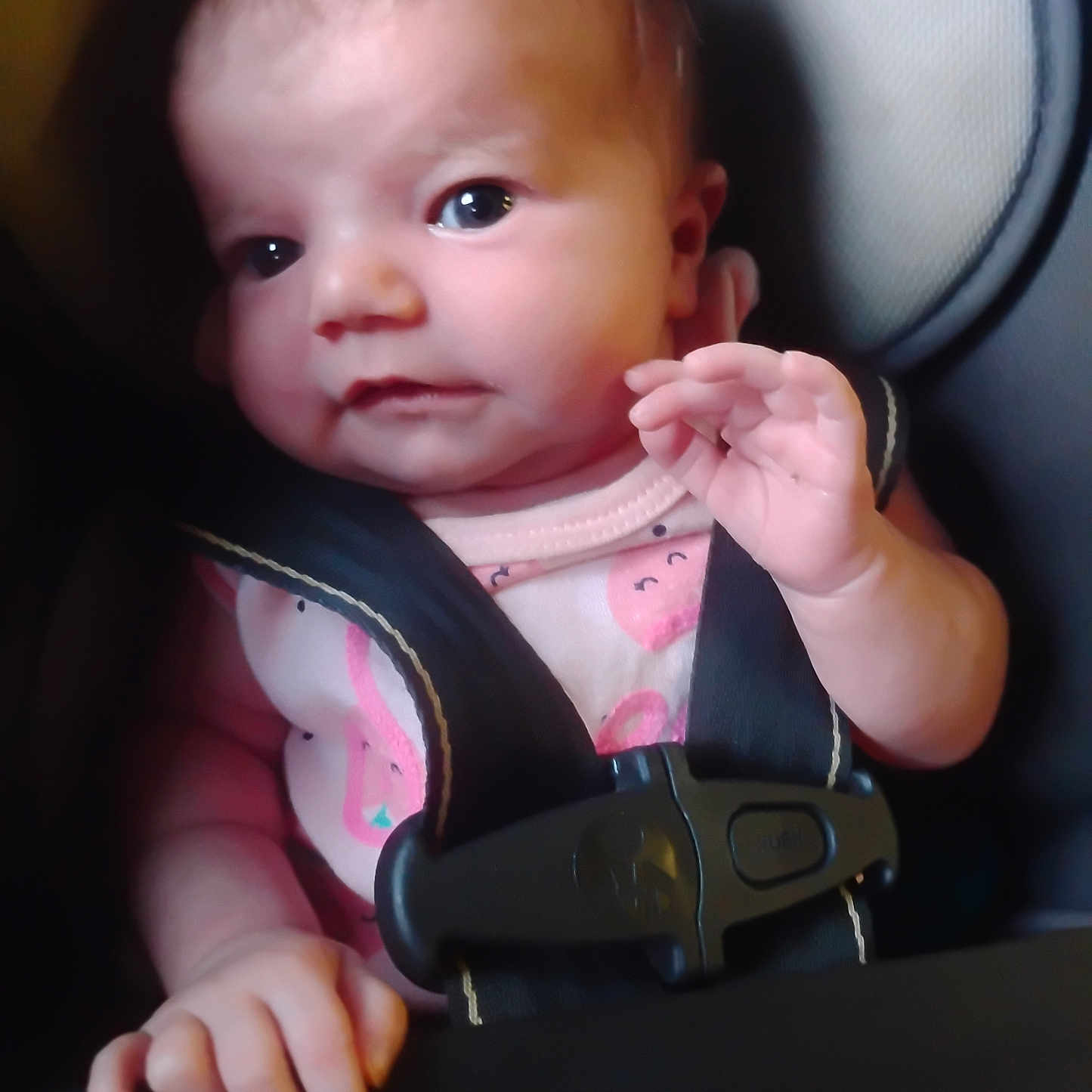 Terrionna joined the competition — help win amazing prizes! baby, infant, car_seat, child, seatbelt, straps, face, hand, expression, portrait, cute, young, person, clothing, pink, skin, eyes, head, sitting, indoor