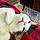 Appa