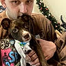 Milo is registered to the contest to win money with this photo: man, puppy, dog, indoor, portrait, christmas_tree, holiday, brown_shirt, collar, jewelry, young_adult, holding, cute, pet, face, hand, home, decor, closeup, casual