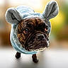 adorable, animal, background_blur, brindle, bunny_ears, close_up, costume, cute, dog, domestic_animal, expression, fur, hoodie, indoor, looking_up, mammal, pet, portrait, small_dog, soft_texture