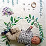 Sacha a rejoint le concours — aidez-le/la à gagner de superbes lots ! baby, child, plaid_shirt, beige_pants, milestone_blanket, woodland_animals, leafy_wreath, wooden_ring, smiling, lying_down, indoor, cute, infant, socks, decorative_blanket, age_marker, portrait, happy, young_child, cozy