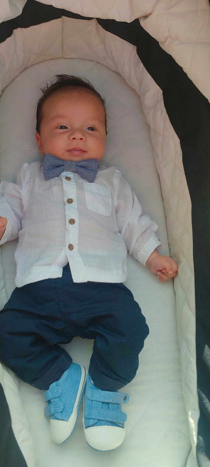 Sacha participe au concours pour gagner de l'argent avec cette photo : baby, infant, bow_tie, white_shirt, navy_pants, blue_shoes, lying_down, baby_carrier, cute, child, fashion, portrait, clothing, footwear, small, adorable, young, infant_boy, comfortable, indoors