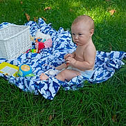 William is registered to the contest to win money with this photo: baby, child, grass, blanket, outdoor, toys, wicker_basket, greenery, sunlight, diaper, infant, sitting, nature, playtime, small_toy_car, serious_expression, summer, park, leaves, daylight