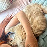 bed, blanket, casual, cat, comfort, cozy, cuddle, feline, fluffy, hand, indoor, intimate, nail_polish, person, red_hair, relaxation, resting, skin, soft_texture, tattoo