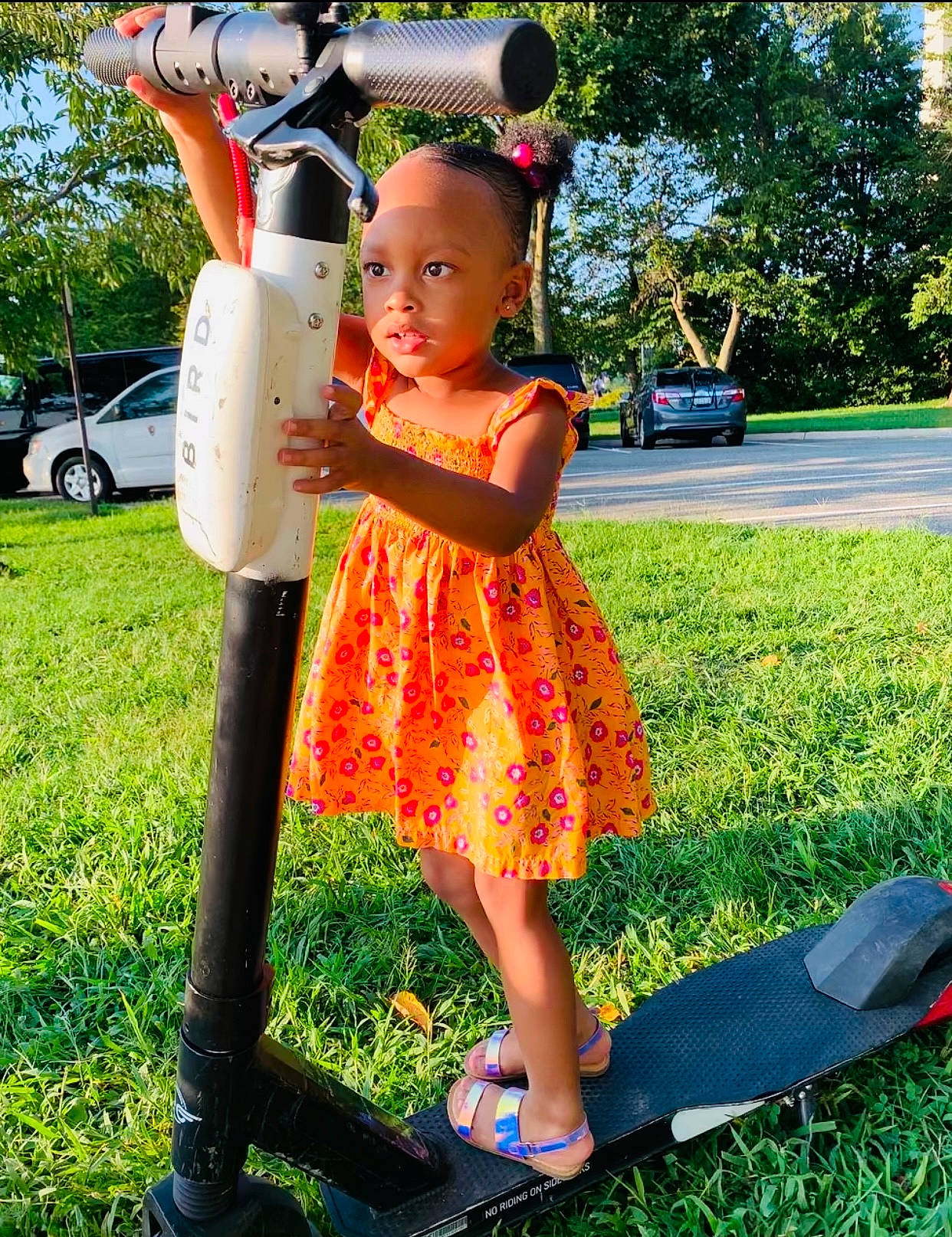 Sophia joined the competition — help win amazing prizes! beauty, dress, fun, grass, hairstyle, happy, leisure, magenta, people_in_nature, person, photograph, pink, plant, recreation, snapshot, street_fashion, summer, tire, tree, wheel