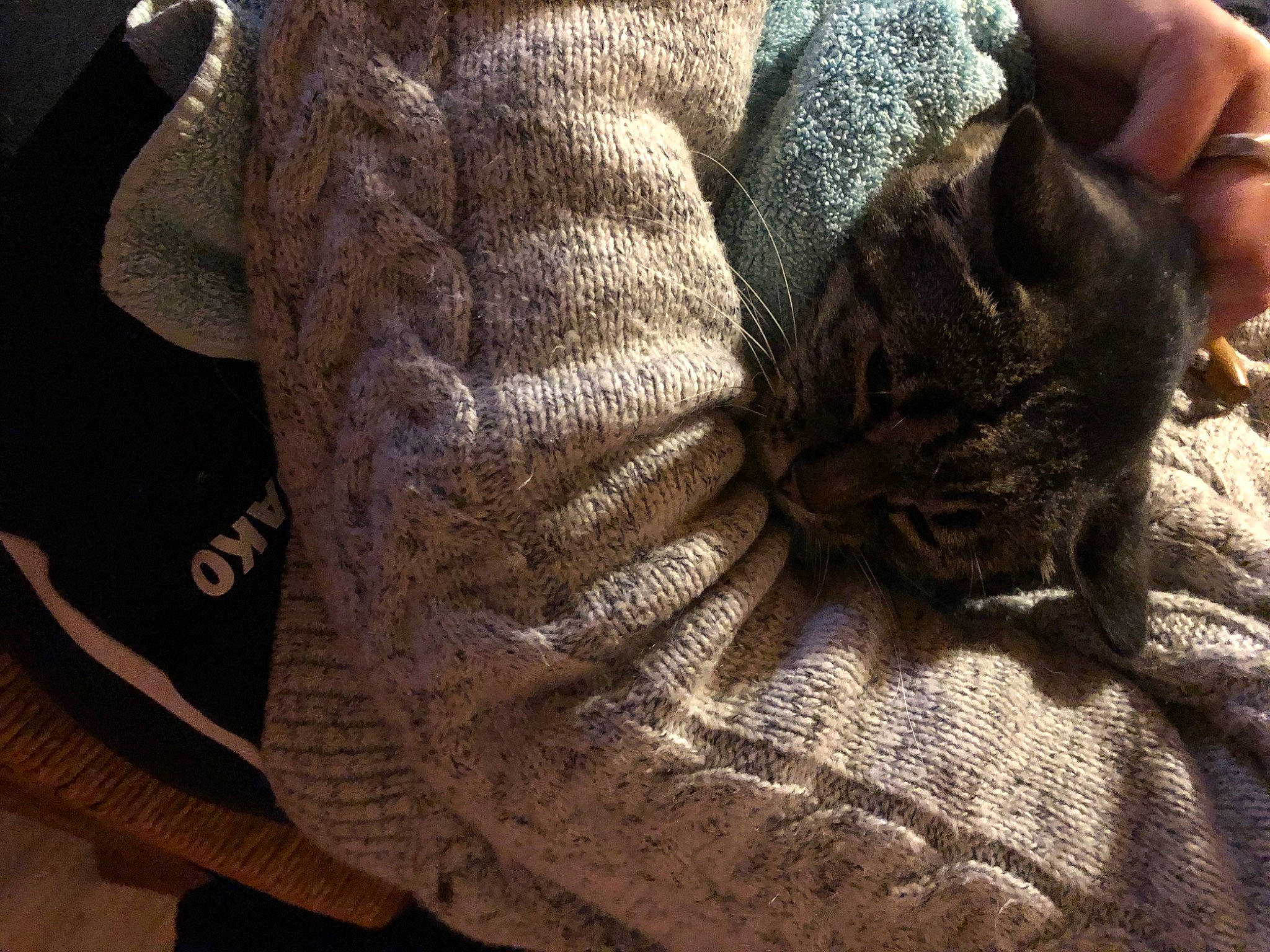 Grisette a rejoint le concours — aidez-le/la à gagner de superbes lots ! cap, denim, fashion_accessory, finger, gesture, gunny_sack, hand, human_leg, nail, pattern, safety_glove, sleeve, thread, thumb, walking_shoe, wood, wool, woolen, wrinkle, wrist